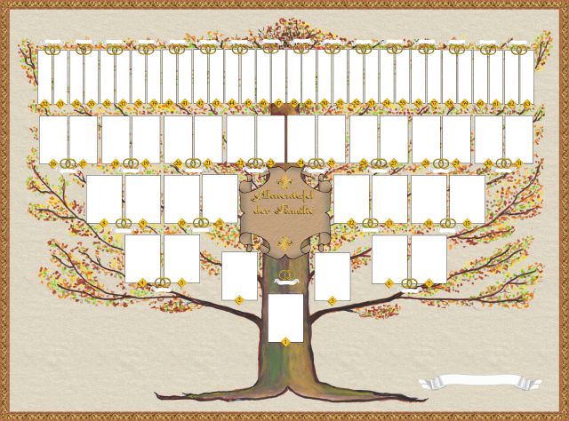 Image arbre
